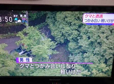 強すぎｗｗｗ最近の日本人の戦闘力が上がりすぎててやばいｗｗｗ