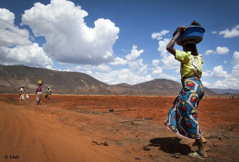 FAO Climate Change & Biodiversity (@faoclimate) on Twitter photo RT <a href="/FAOKnowledge/">FAO Knowledge</a>: Welfare impacts of #climate shocks: Evidence from #Tanzania bit.ly/2bfTvmI #climatechange RT <a href="/FAOKnowledge/">FAO Knowledge</a>: Welfare impacts of #climate shocks: Evidence from #Tanzania bit.ly/2bfTvmI #climatechange