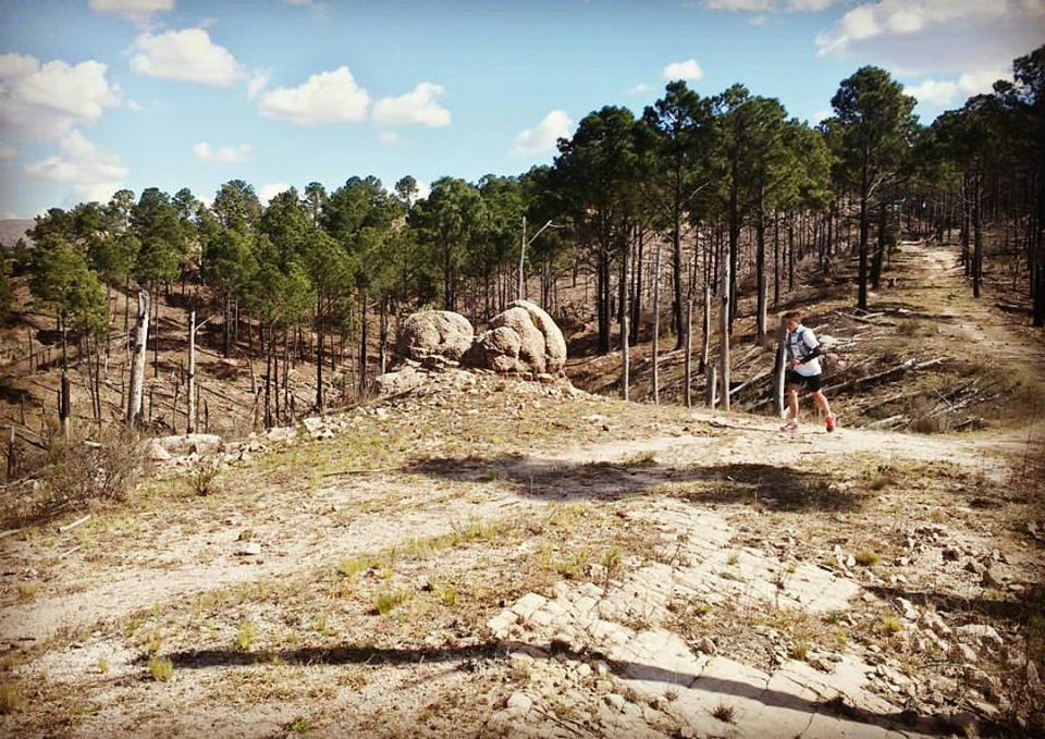 Un recorrido que desborda de BELLEZA #AlpaCorral #ParqueSilvestreHambaré #42km #21km #10km #5km Tu Cita imperdible