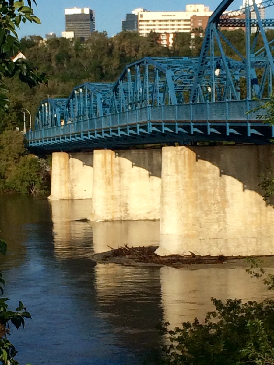 ctvedmonton's tweet image. Videographer Evan sent in these shots of logs wedged under Dawson bridge. #yeg #yegwx #logjam