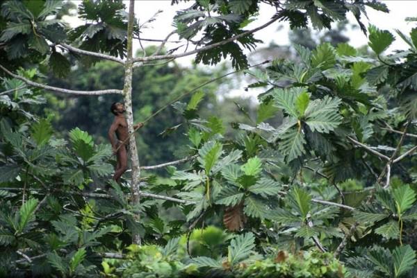 GNFI's tweet photo. Foto-foto Luar Biasa Rumah Pohon Suku Korowai di Papua : https://t.co/S0ff5E2OkG https://t.co/rqXliFFBfv