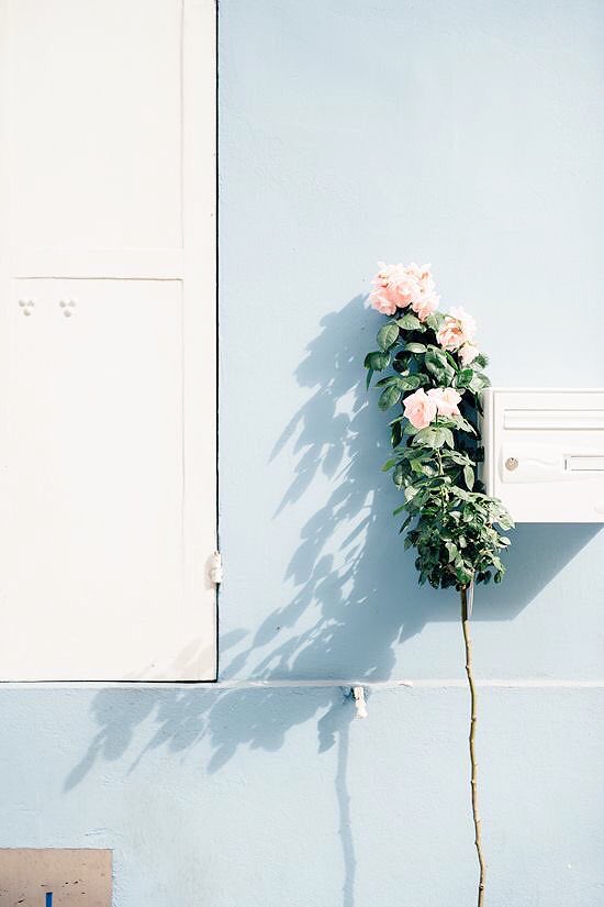 minsugaesthetic tweet picture