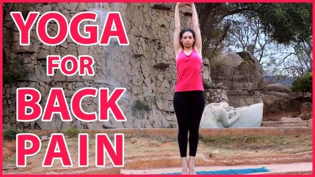 Wellness_Hacker's tweet image. Want to Handle Workplace stress and disorders? #Yoga is the Ultimate Answer! buff.ly/2bicG3G #wellness