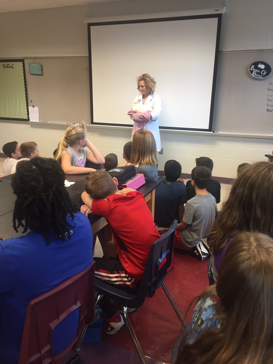 Brittany Paddock tweet media