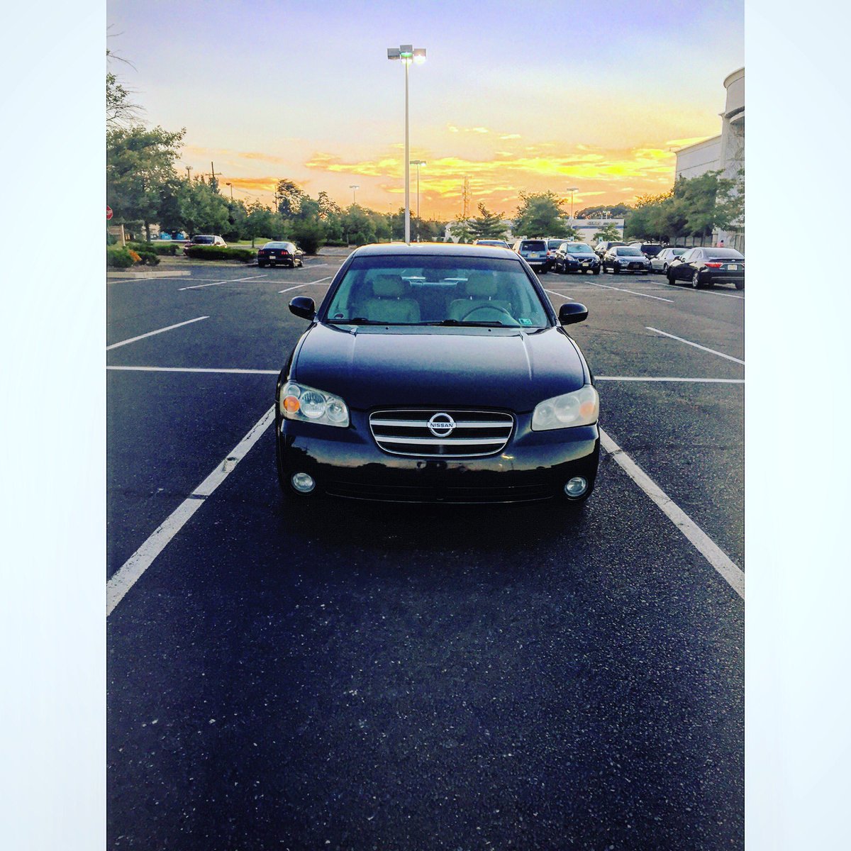 Shes a beaut 😍💙