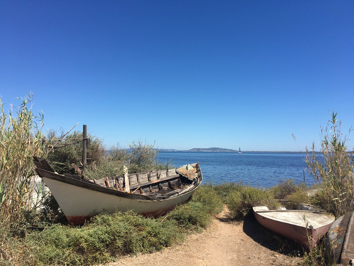 Now I'm cooking here