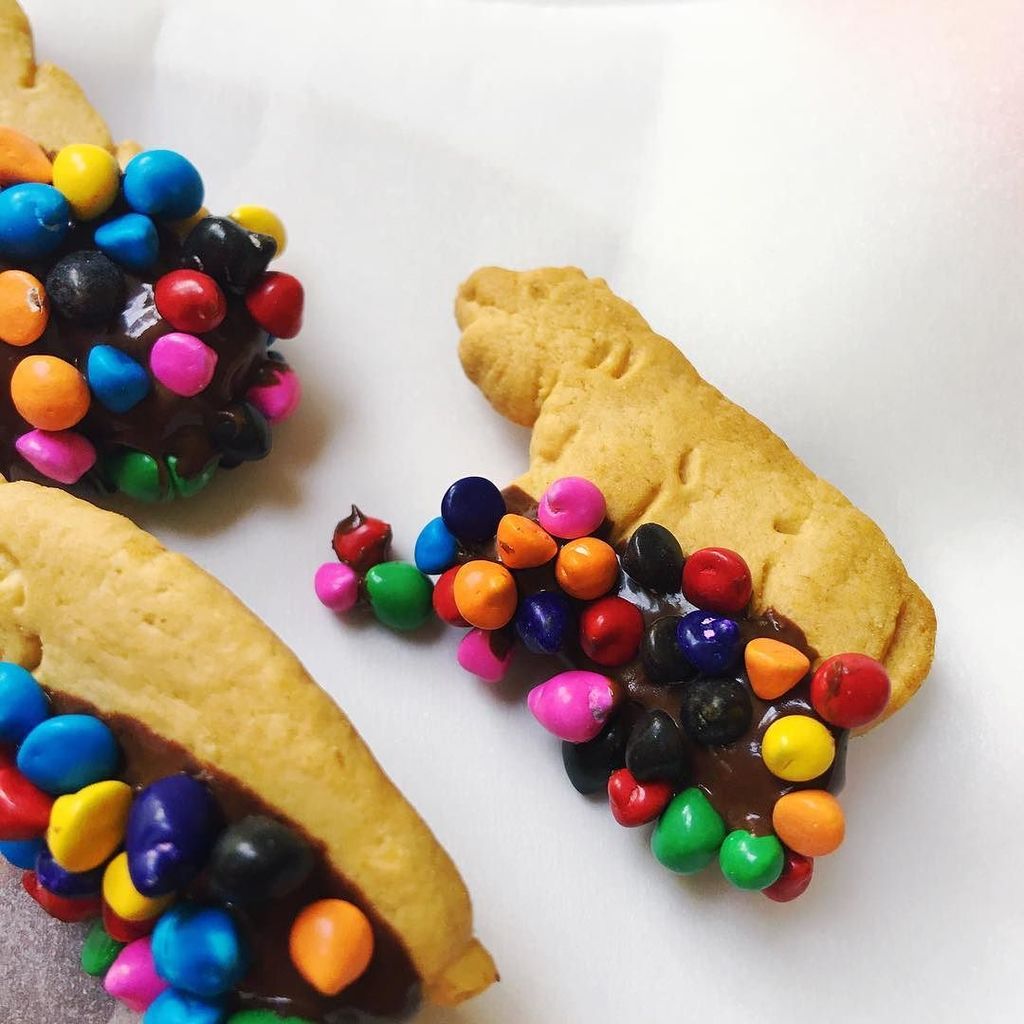 thegatorbug's tweet photo. This week's DIY is gonna be super YUMMY. Here's a sneak peek! 🍰 #diyblog #animalcrackers #sprinkles https://t.co/7VDhAJF8LA