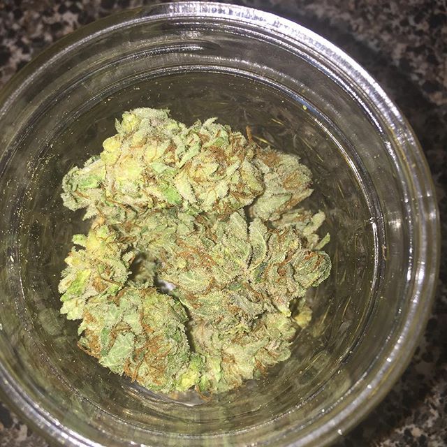 CarmenCollard2's tweet photo. New kush, called bubba's paradise! https://t.co/S0GYaT1nij
