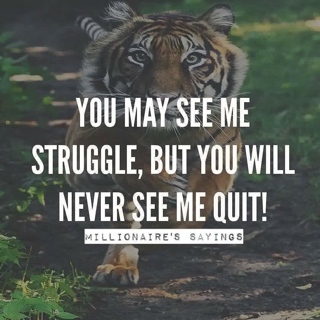 netcomsolution2's tweet image. #NetCom for the optimum success.  #ICTSolutions #Cables
netcompk.com

Photo Courtesy:#MillionairesSayings