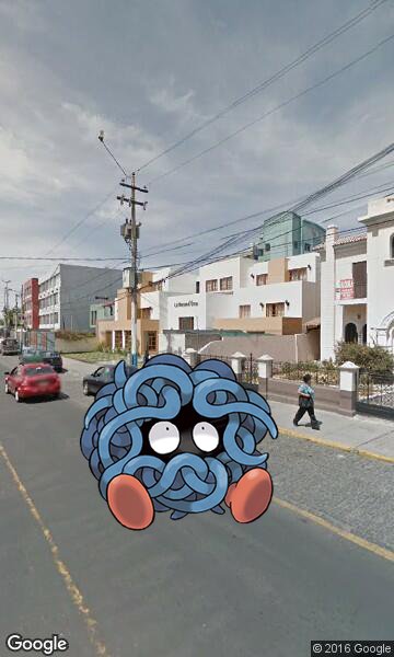 PokemonGo_Bot's tweet image. A wild Tangela appeared in Arequipa, Peru #PokemonGo