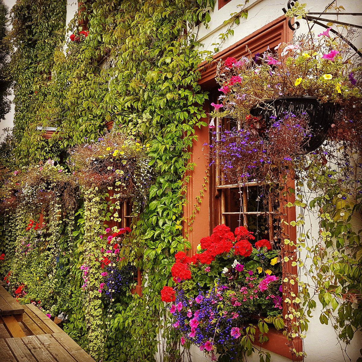 tigerstowting's tweet photo. Wow, finally great weather! Come and enjoy it with a meal at The Tiger Inn. Call 01303 862 130 to book your table. https://t.co/nkPoozBmlw