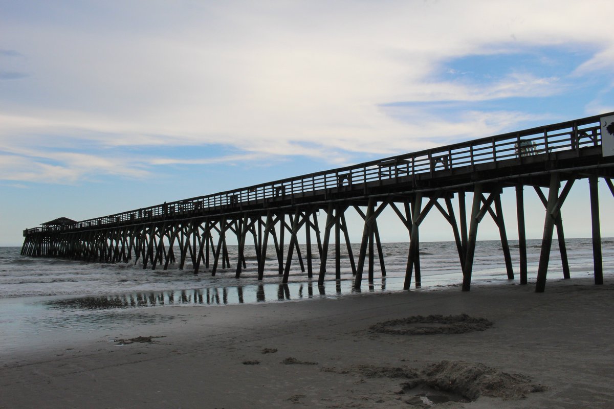 SenatorTimScott's tweet photo. Myrtle Beach State Park was the first South Carolina State Park to open in 1936. #50DaysofSC https://t.co/9w4bmPNDbU
