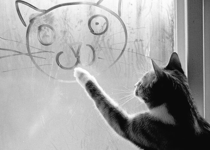 ReflectivKitten's tweet photo. #one 
I'm a mum who adores her kid

#fivethingsaboutme https://t.co/glZgBwW4Ak