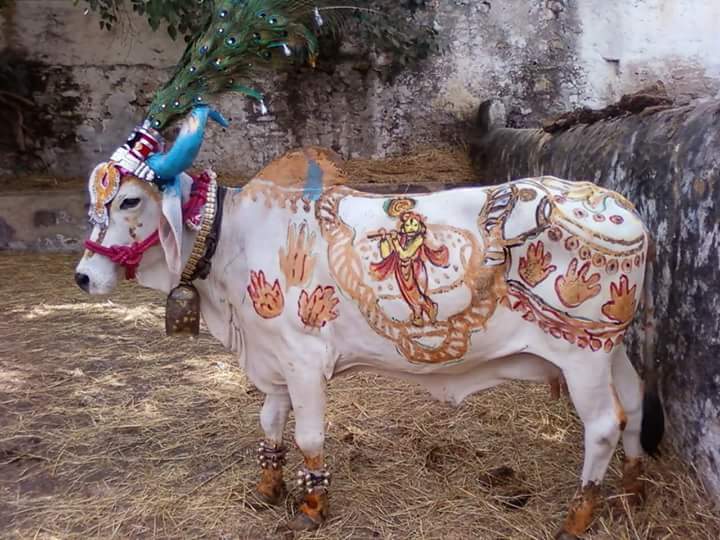 Garry41825810's tweet photo. Happy Janmashtami friends with #love,#affection , by https://t.co/3mtXX8vd1B https://t.co/SVFFIUV5yw