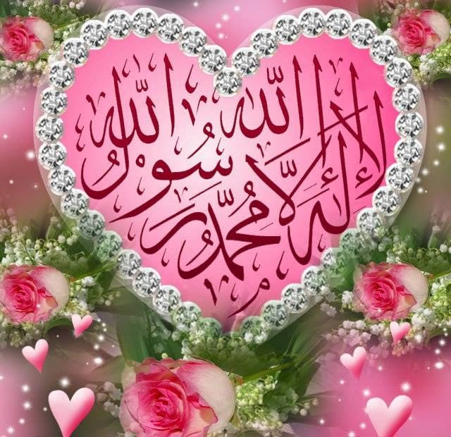 537 Wallpaper Pink Allah Pictures - MyWeb