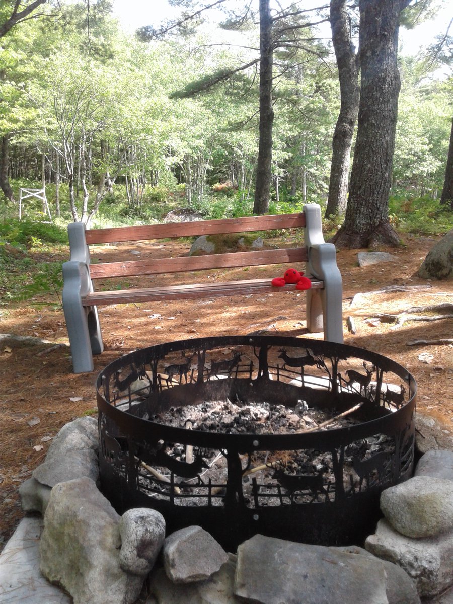 Charlie went to Roseway River Cottages today! He found a place where people can come and reconnect with the outdoors