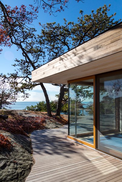 Gray Organschi tweet media