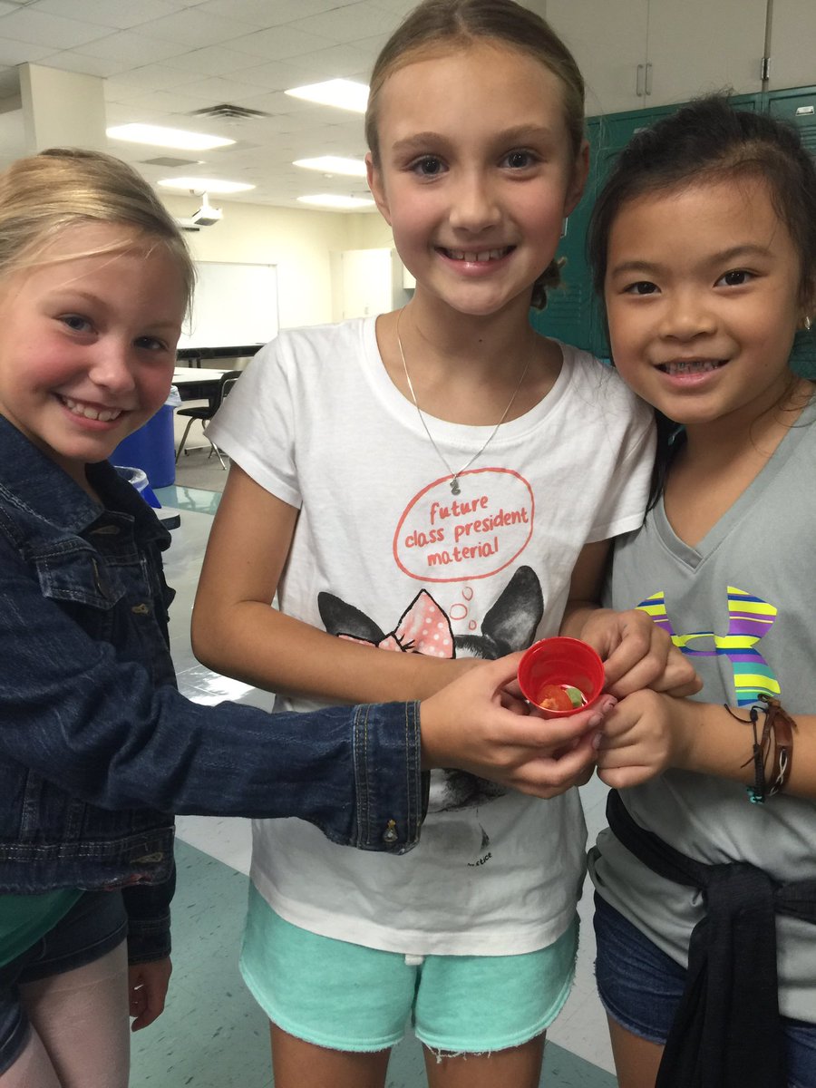 Stinson3rdgrade's tweet photo. Saving Sam! #stinsonlearns #workingtogether #planolearns #havingfun https://t.co/BW3ji1v8Tz