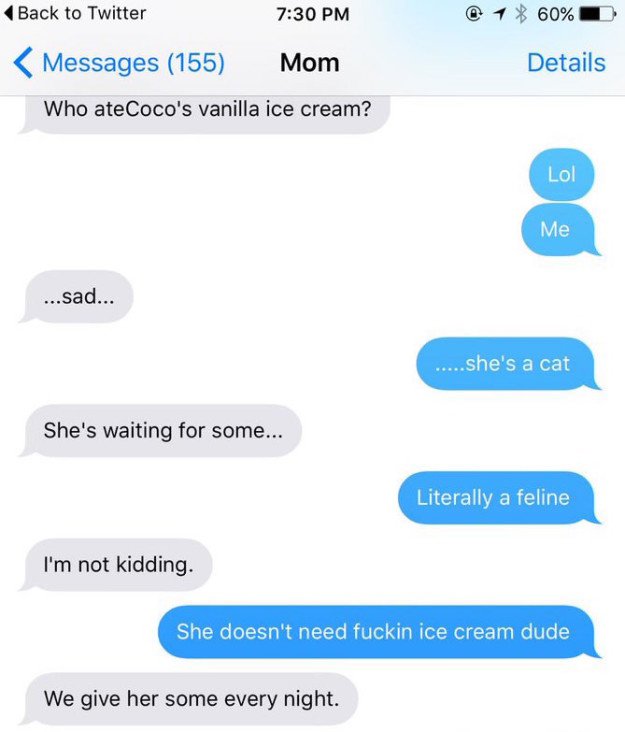 BuzzFeed's tweet image. People are relating to this hilarious mom-daughter conversation about their cat bzfd.it/2bPHHKm