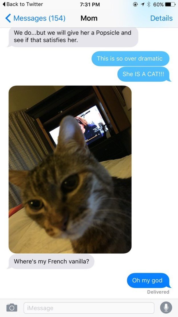 BuzzFeed's tweet image. People are relating to this hilarious mom-daughter conversation about their cat bzfd.it/2bPHHKm