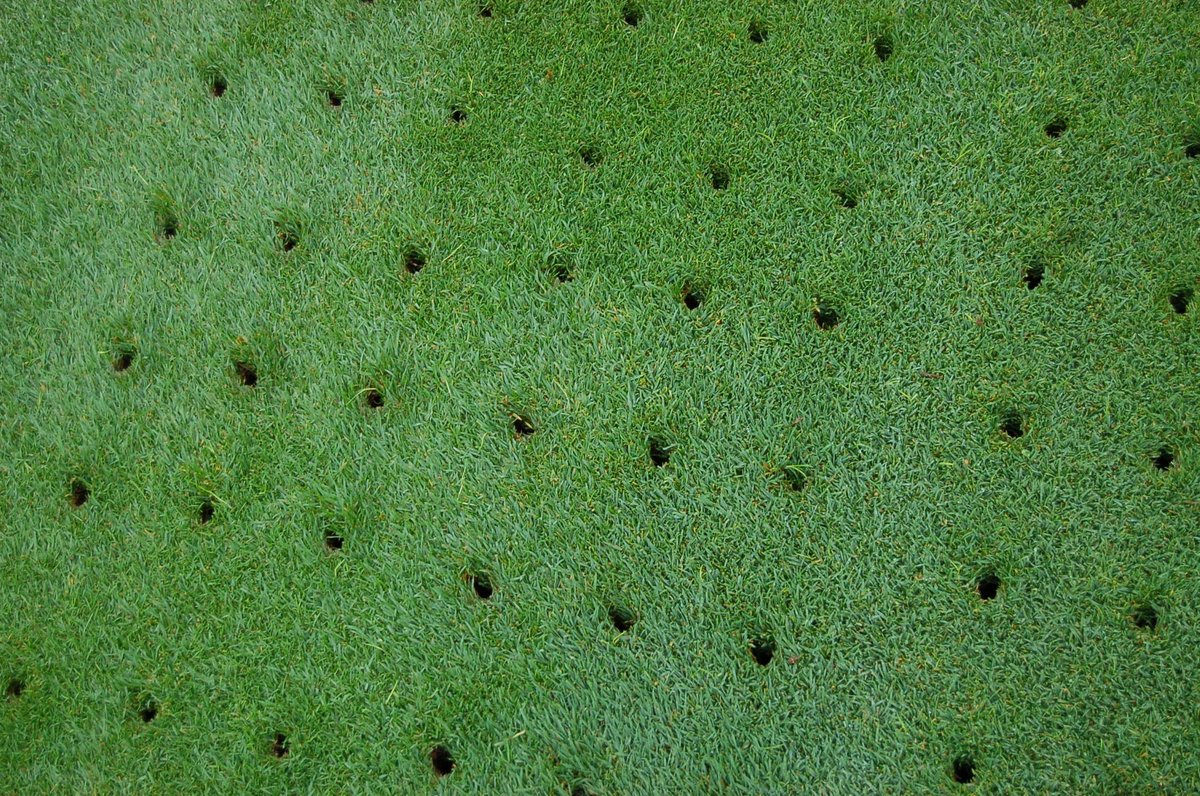 UrbanEdges's tweet photo. Ever thought about aerating your lawn? Lawn aeration is the procedure of getting air into the lawn soil. #yeg #shpk https://t.co/SMUN1fLhvO