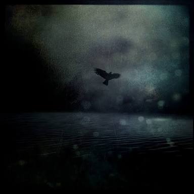 SmiletoLifewith's tweet photo. Night Owl 'Intao' https://t.co/CQamBAZ8wX