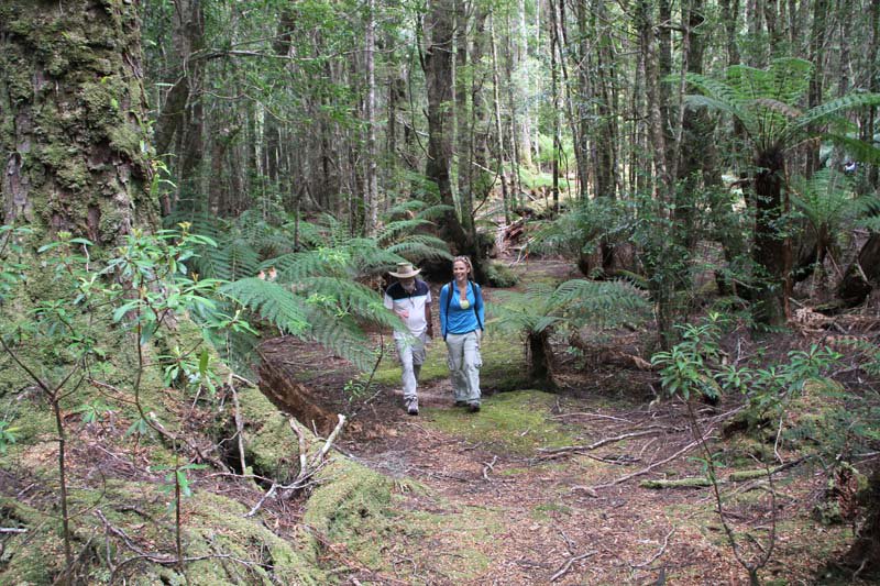 Why #Tassie tops our list for #wilderness experiences: ow.ly/Nefg303u9XW via <a href="/pwgfriends/">Places We Go</a> #discovertasmania