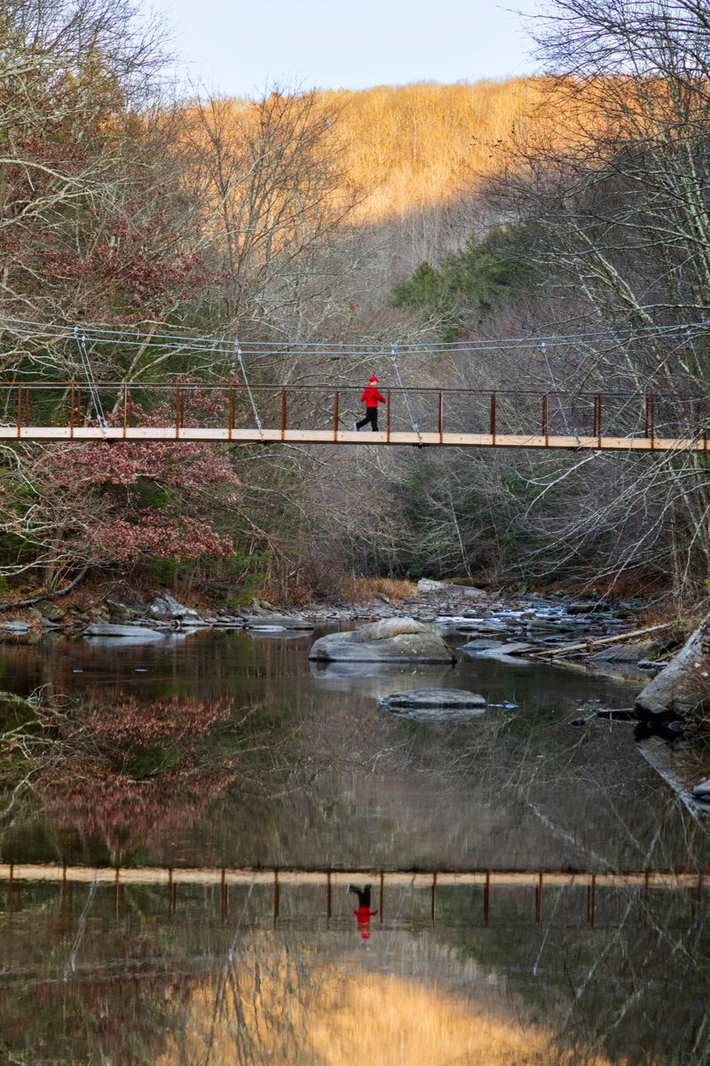 Gray Organschi tweet media