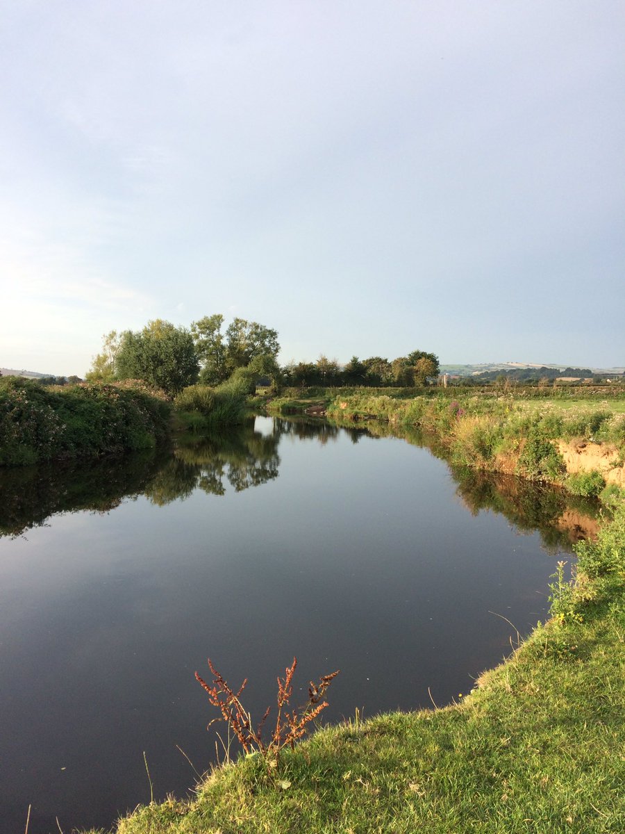 DevonDazeBlog's tweet photo. @Mr_John_Harvey_ @Hour_Exeter @Devon_Hour I've since walked it off along #ExeValleyWay #DevonHour @RSPBExeEstuary https://t.co/6ijGSaaRhC