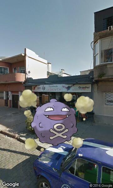 PokemonGo_Bot's tweet image. A wild Koffing appeared in Montevideo, Uruguay #PokemonGo