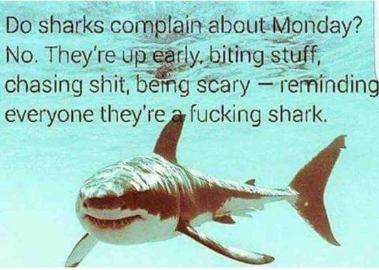 ChrisKeane78's tweet photo. @CreaneJason @jeremyduggan10 https://t.co/wmcUgrQwnk