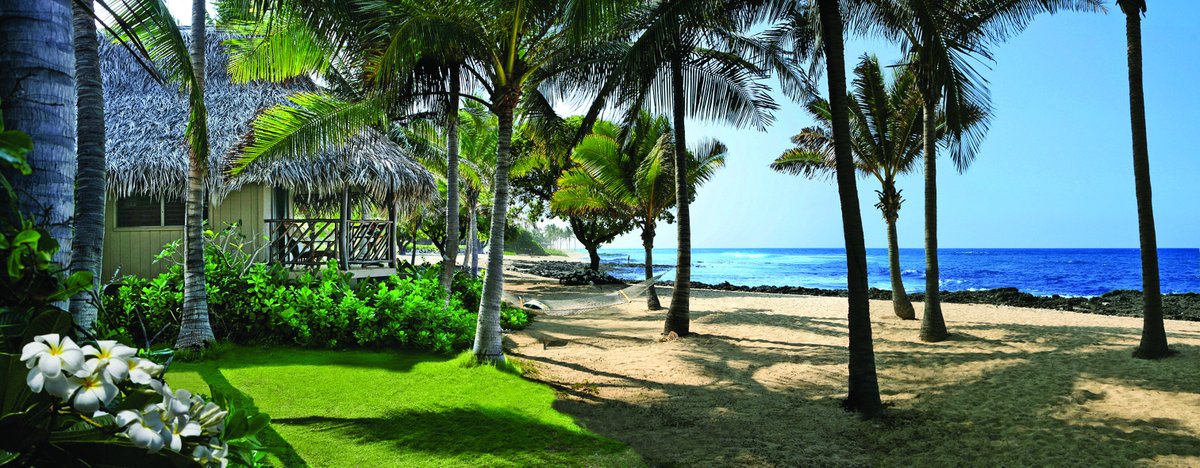SurferScribe's tweet photo. Tsunami-damaged Kona Village Resort to reopen in 2019: https://t.co/kMaxIEUaTR #IslandofHawaii (Pic Kona Village) https://t.co/riJQYz2LnK