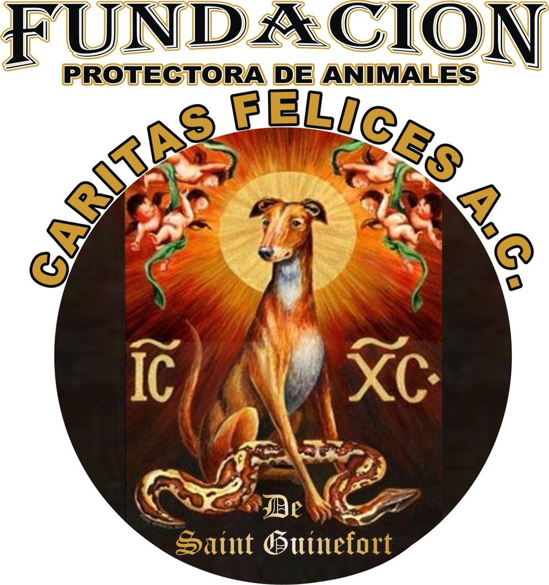 deynamles's tweet photo. EL MALTRATO ANIMAL ES UN DELITO EN EL EDO. D PUEBLA!  DENUNCIALO HA TUS AUTORIDADES LOCALES Y ESTATALES! AYUDANOS!!! https://t.co/e4oSar9UIc