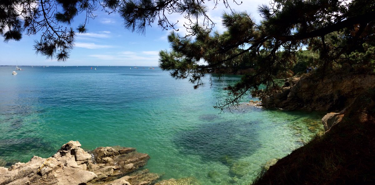 fredericpennec's tweet photo. Chemin côtier entre le Cap-Coz et Beg-Meil. #Fouesnant #CapCoz #Bretagne @fredericpennec © Tous droits réservés. https://t.co/mSdNeX3LJn