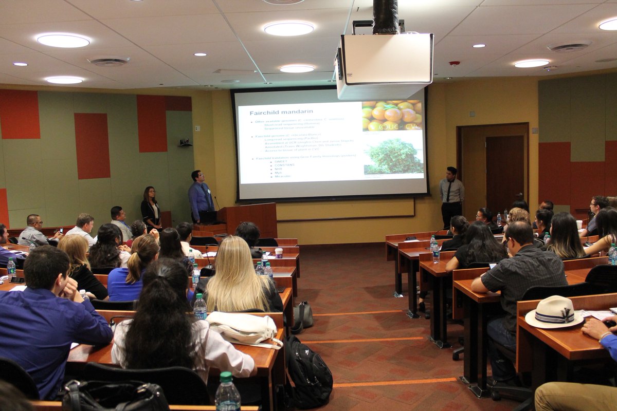 sbaltazarm's tweet photo. #RISE summer scholar symposium on #zika #bees #nematodes #citrus & all things #STEM @UCRiverside #LC #DynamicGenome https://t.co/wjuT3s99uK