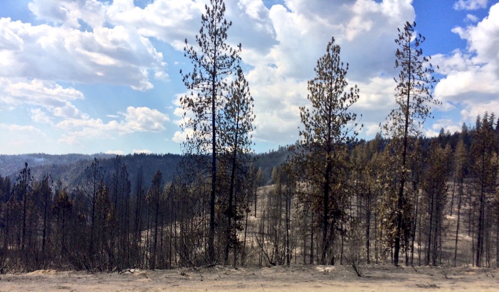KREMWhitney's tweet photo. More precise maps show #CayuseFire has burned 18,220 acres-Still lots of concern about flow of info between agencies https://t.co/2YuqBXXBlS