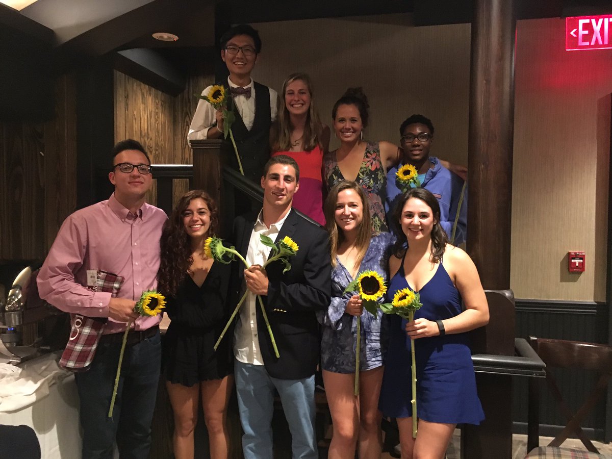 GateLinkStaff's tweet image. 🌲