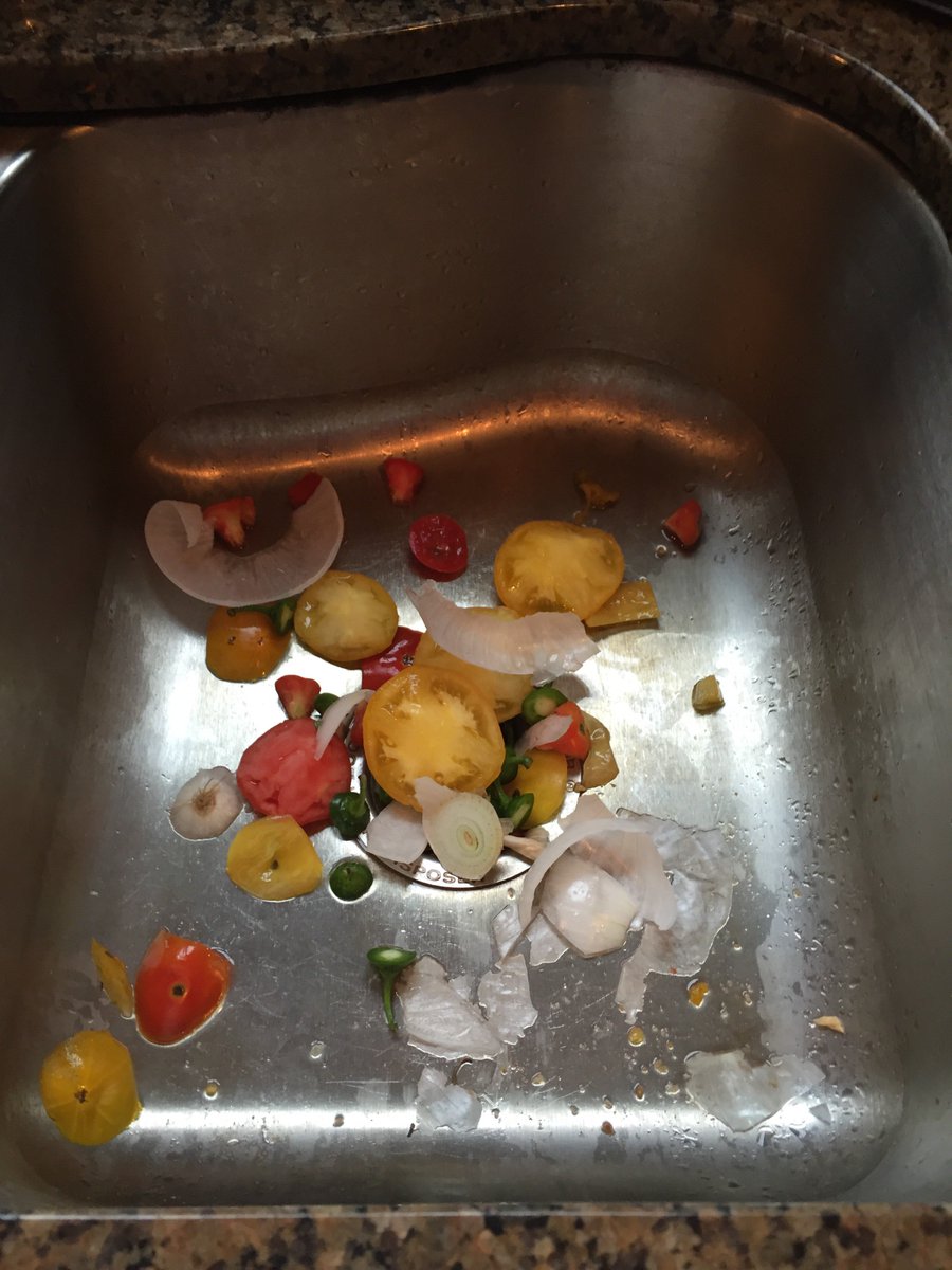 LindsayONeill's tweet photo. I like putting fresh veggie scraps down the sink, it's like I am doing something healthy for my garbage disposal! https://t.co/gkp8bEsRdD