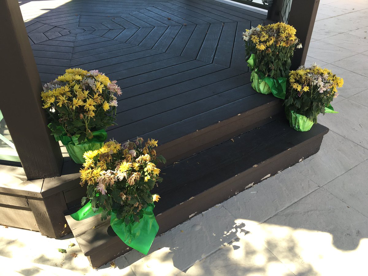 gcreese's tweet photo. Marriott needs to up its game at the Courtyard near Portland  airport. Dead flowers aren't welcoming. #marriott https://t.co/e1HNDROWD1
