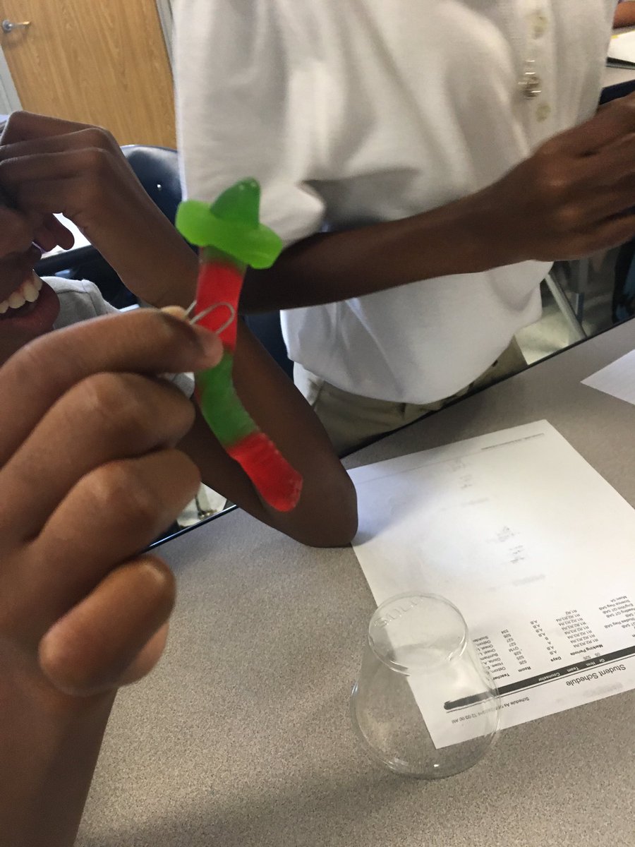 KJOsborn3's tweet photo. My kids absolutely loved "Saving Fred" today! #cooperation #groupwork #collaborativekids #065roadto80 #teacherlife https://t.co/lsDyOyri7n