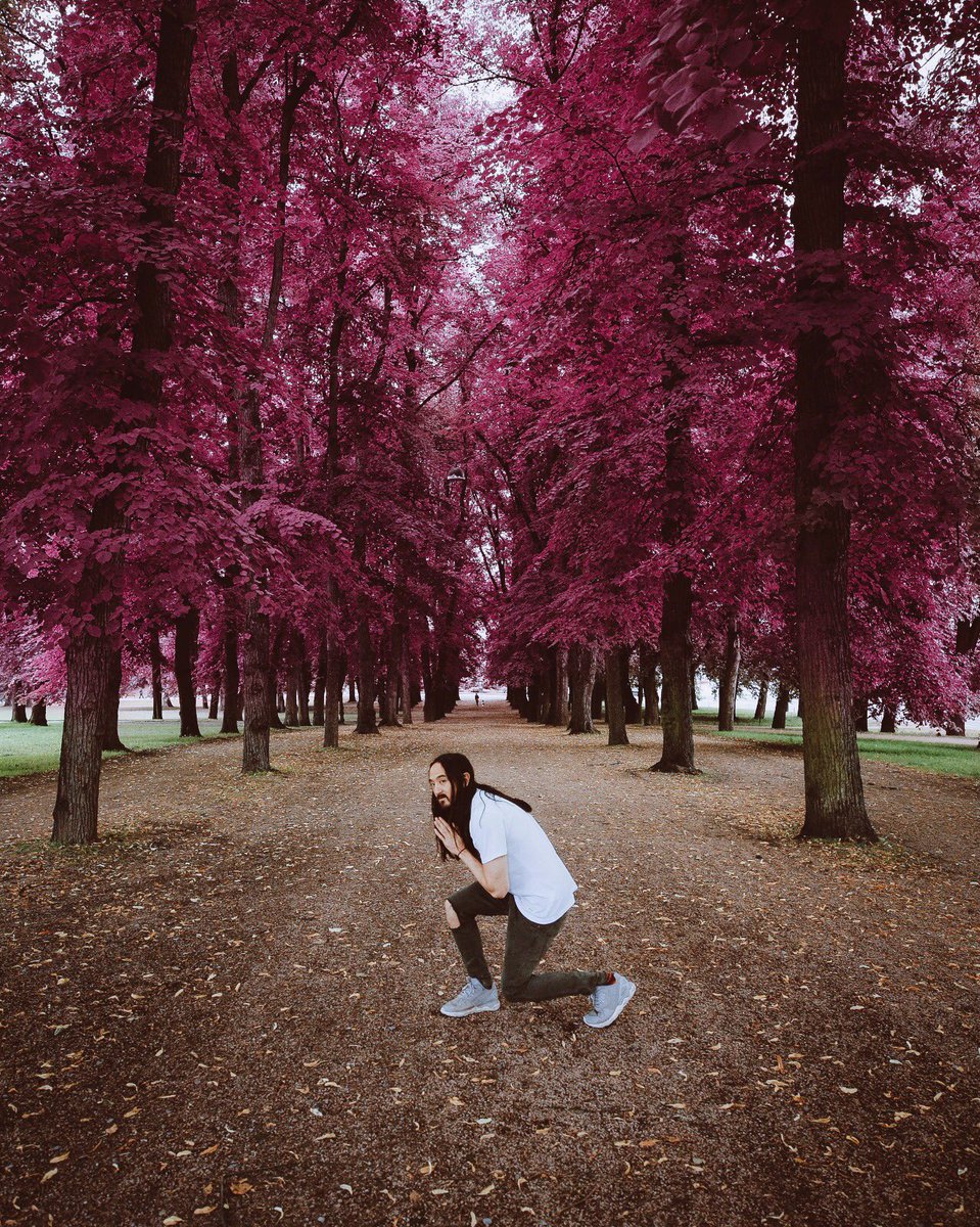 🍁 https://t.co/9guAQQlhHp