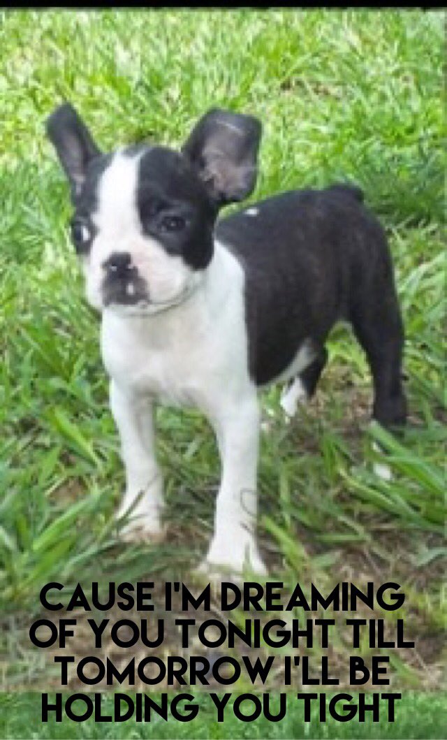 FreeBigRuby's tweet image. #FreeBigRuby is rumored to be the inspiration of Selena's hit song Dreaming of You