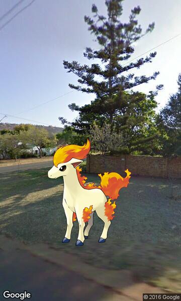 PokemonGo_Bot's tweet image. A wild Ponyta appeared in Pretoria, South Africa #PokemonGo