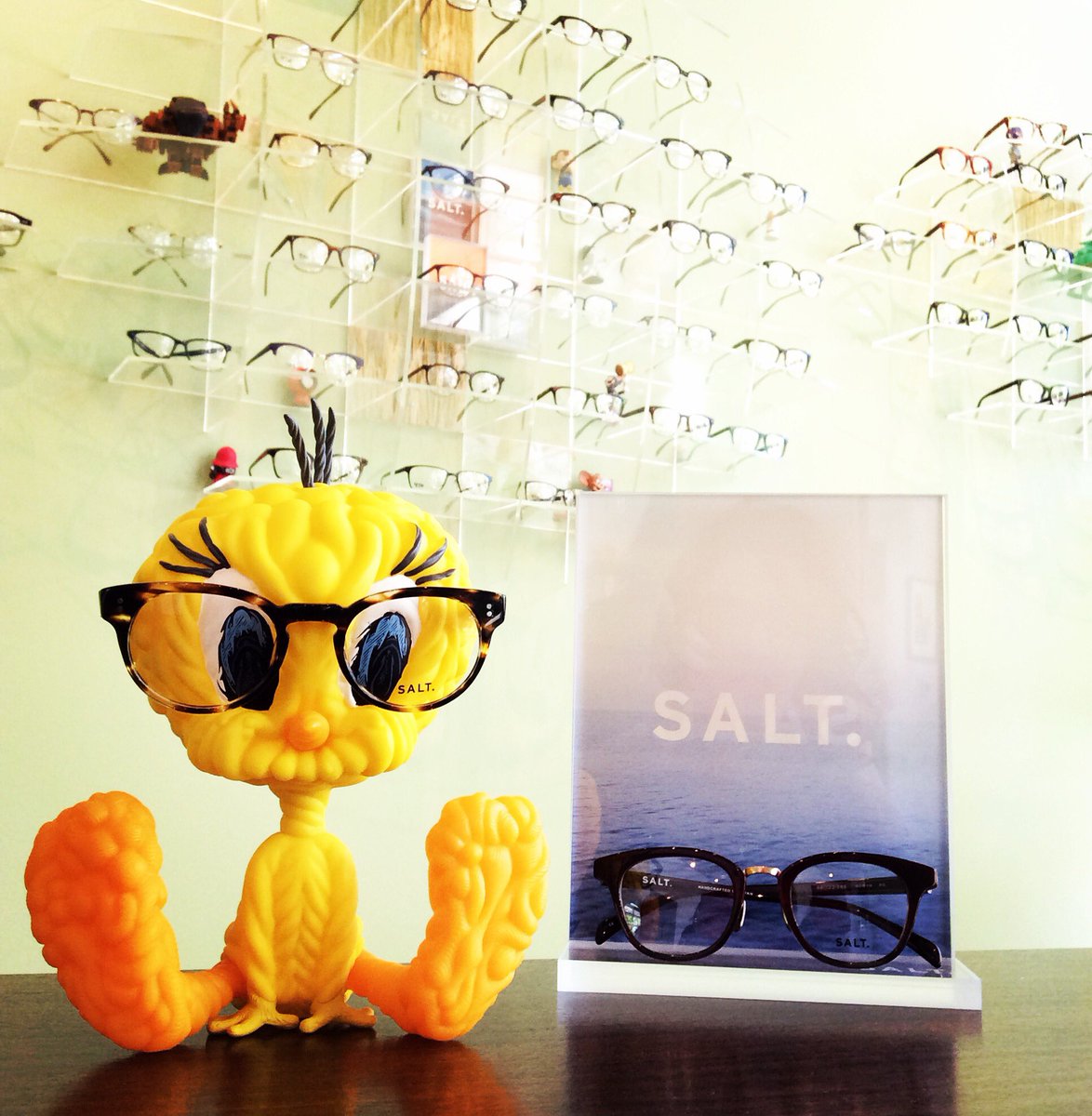 I Salt I taw a putty tat. #saltoptics #visualeyespdx #glasseshelpyouseeputtytats #getyoureyeschecked
