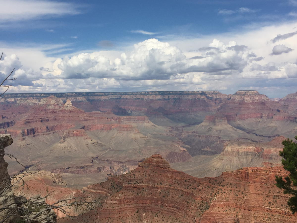 Packwide's tweet photo. Ain't that canyon grand #allsandnobeach https://t.co/GfztGlN6eL