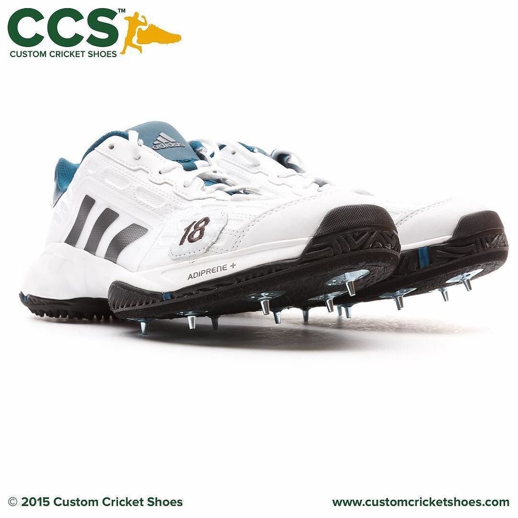 virat kohli shoes cricket