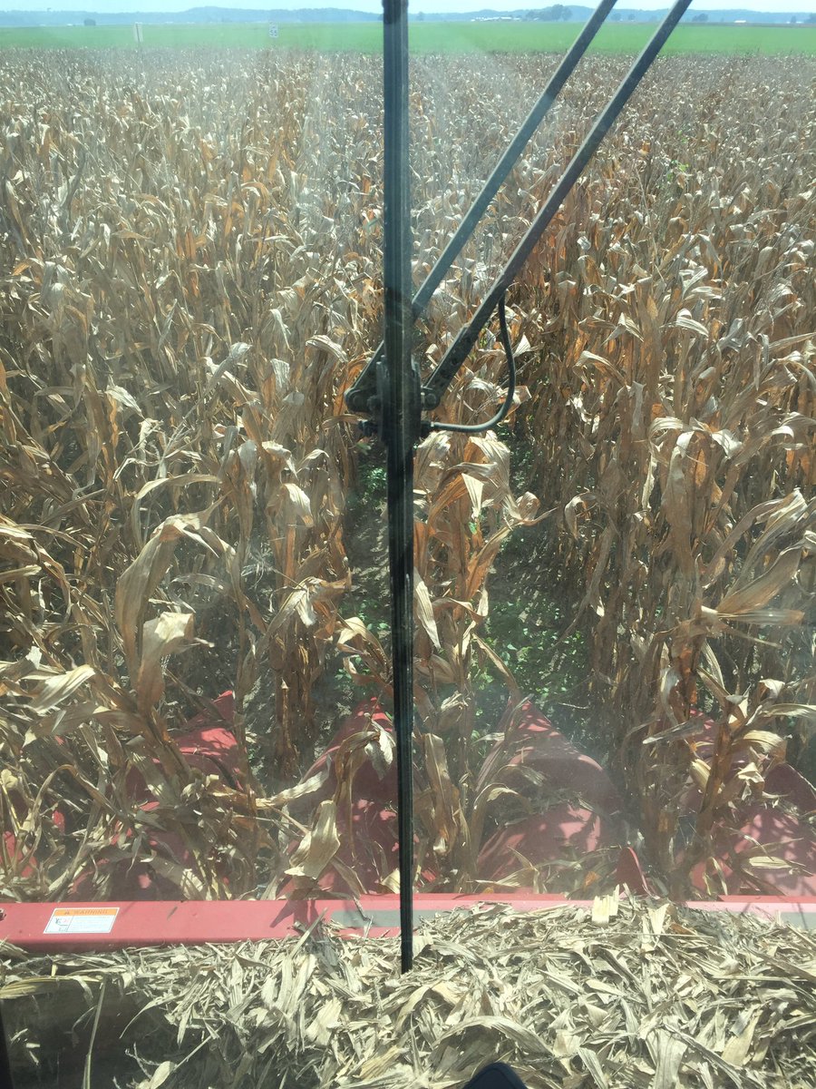PBehlmann's tweet image. #harvest16 is a go in SoIL. Collecting yield data with new @FieldView drive is awesome! @climatecorp @ChannelSeed