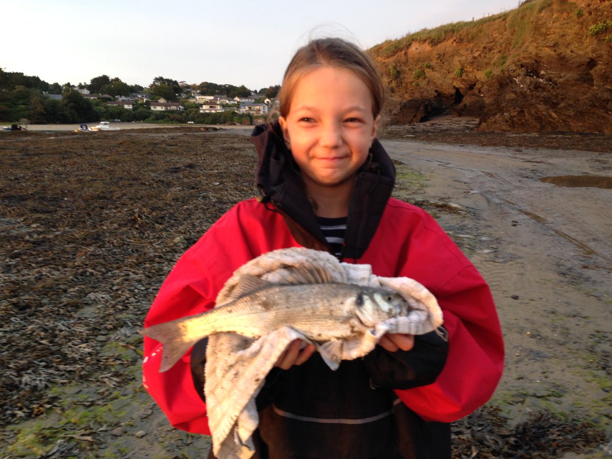 Nat_King_Fish's tweet image. "Can my @MattHayesfish rod handle a bass?" Apparently so! #Hooked #FirstSoloBass