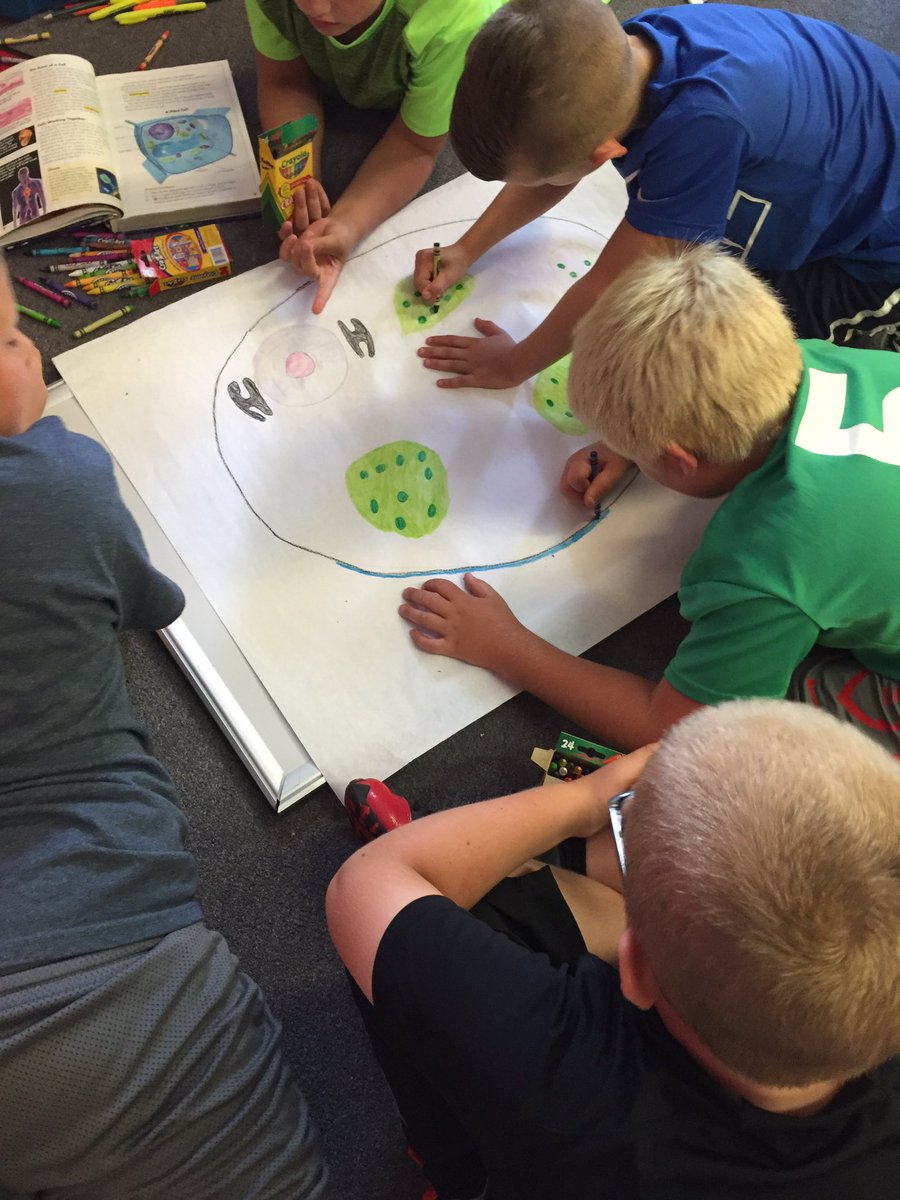 MrsPreston4th's tweet photo. Making plant and animal cell drawings. https://t.co/R3XdWRdjsP
