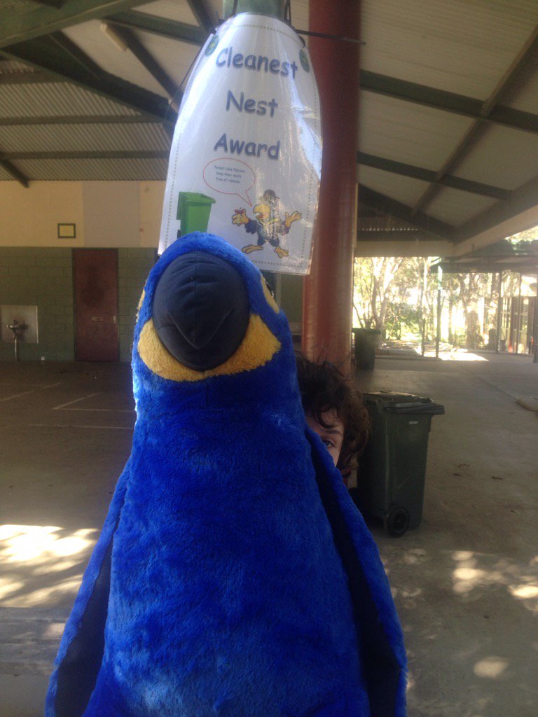 6SGfalcons's tweet photo. 3B are excited winning the cleanest nest award. Flash thinks he might share the best with Frankie and Freda. #flssip https://t.co/coN5Qh44TL